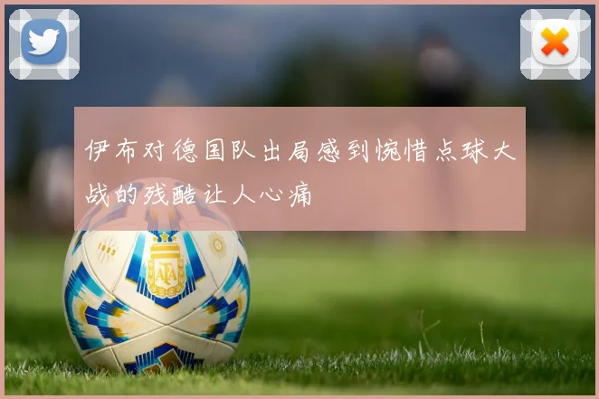 伊布对德国队出局感到惋惜点球大战的残酷让人心痛