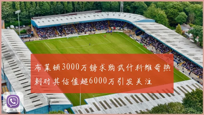 布莱顿3000万镑求购武什科维奇热刺对其估值超6000万引发关注
