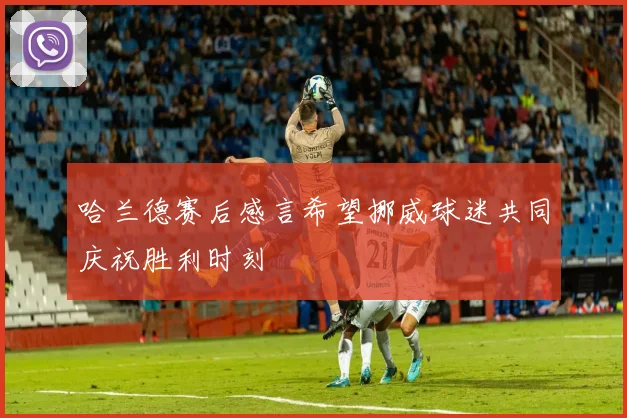 哈兰德赛后感言希望挪威球迷共同庆祝胜利时刻